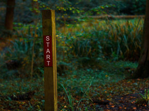 Wooden post with red "START" sign in a forest setting. Autumn leaves cover the ground; trees and greenery create a tranquil mood.