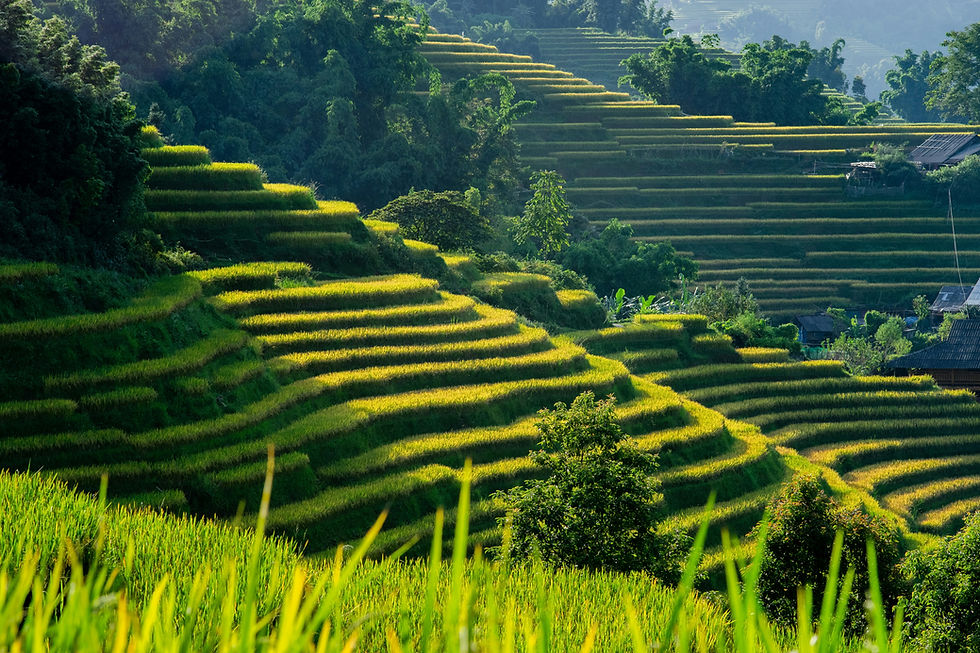 Image by Vivu Vietnam