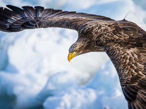 Do you know that Strategy is the single greatest reason for great performance?