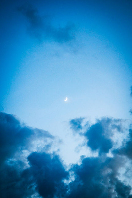 Image by Jamie Kettle