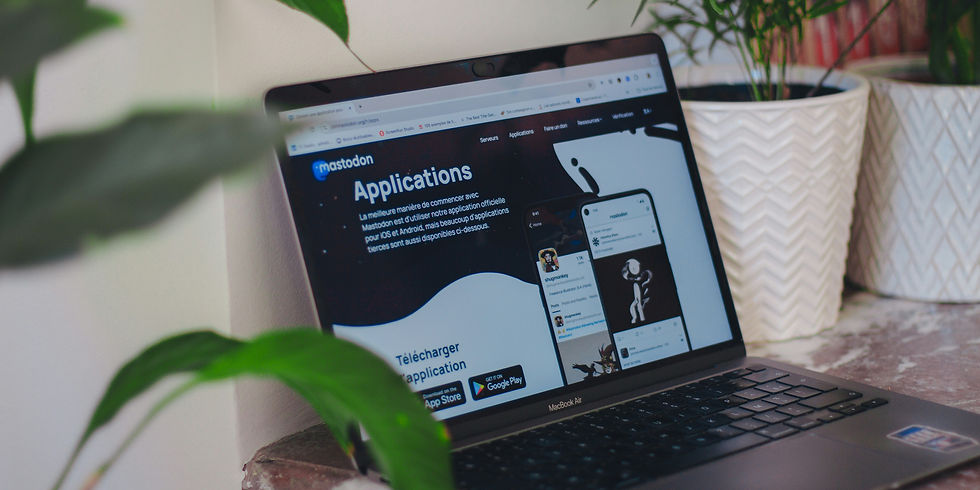 Website disign