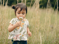 Cheirando o poder do olfato do cérebro