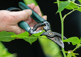 Image by Margarita Shtyfura