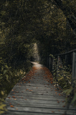 Image by Florian Pinkert