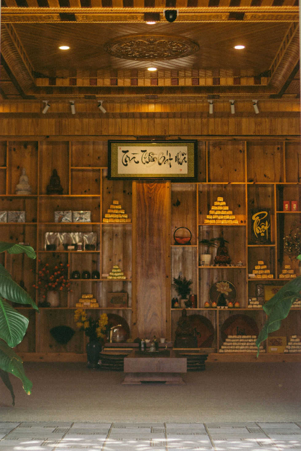 Image by Tai Bui