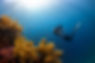 Image by NEOM