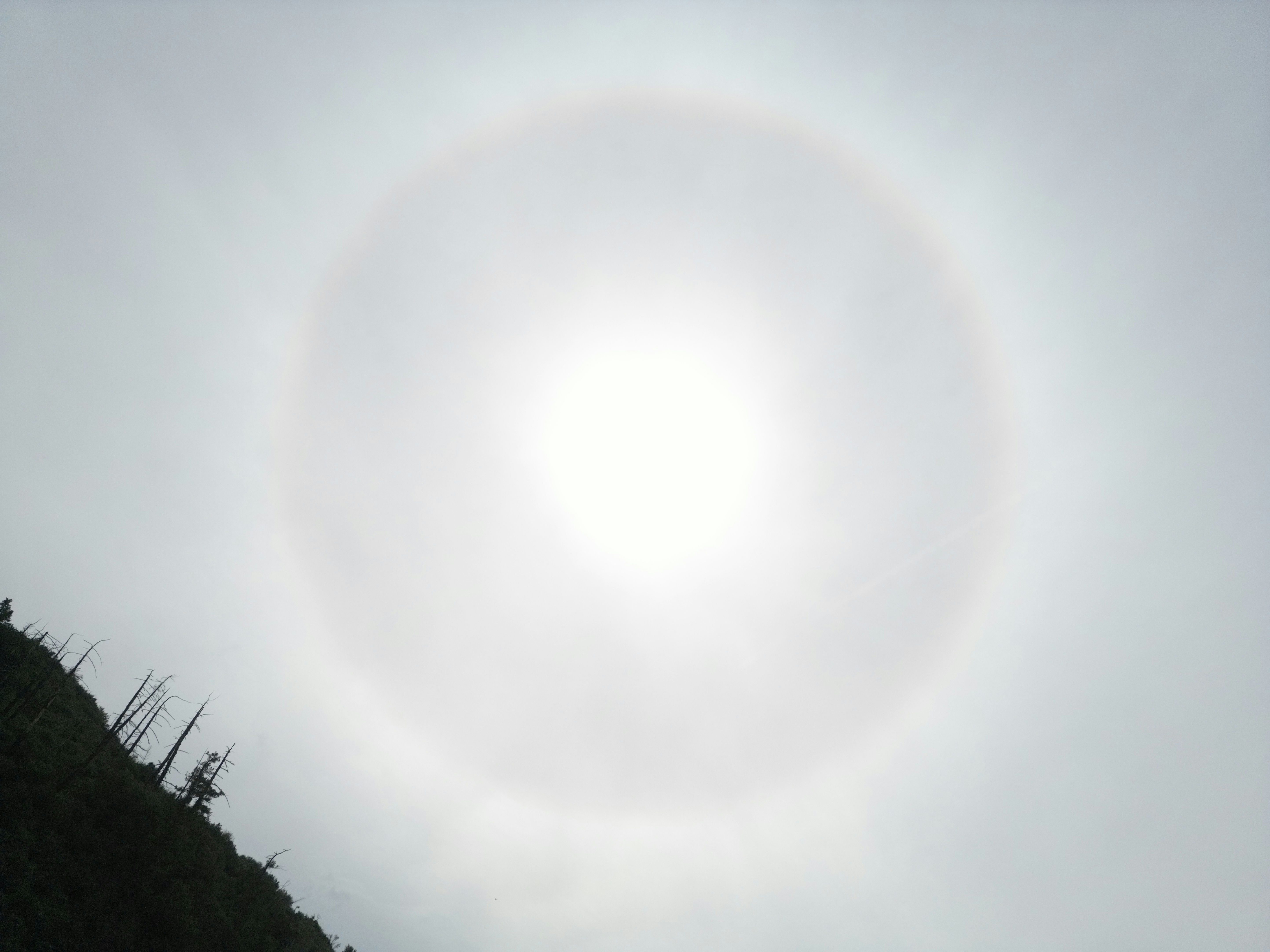 Sun Dogs (clarinet, violin, cello, piano)