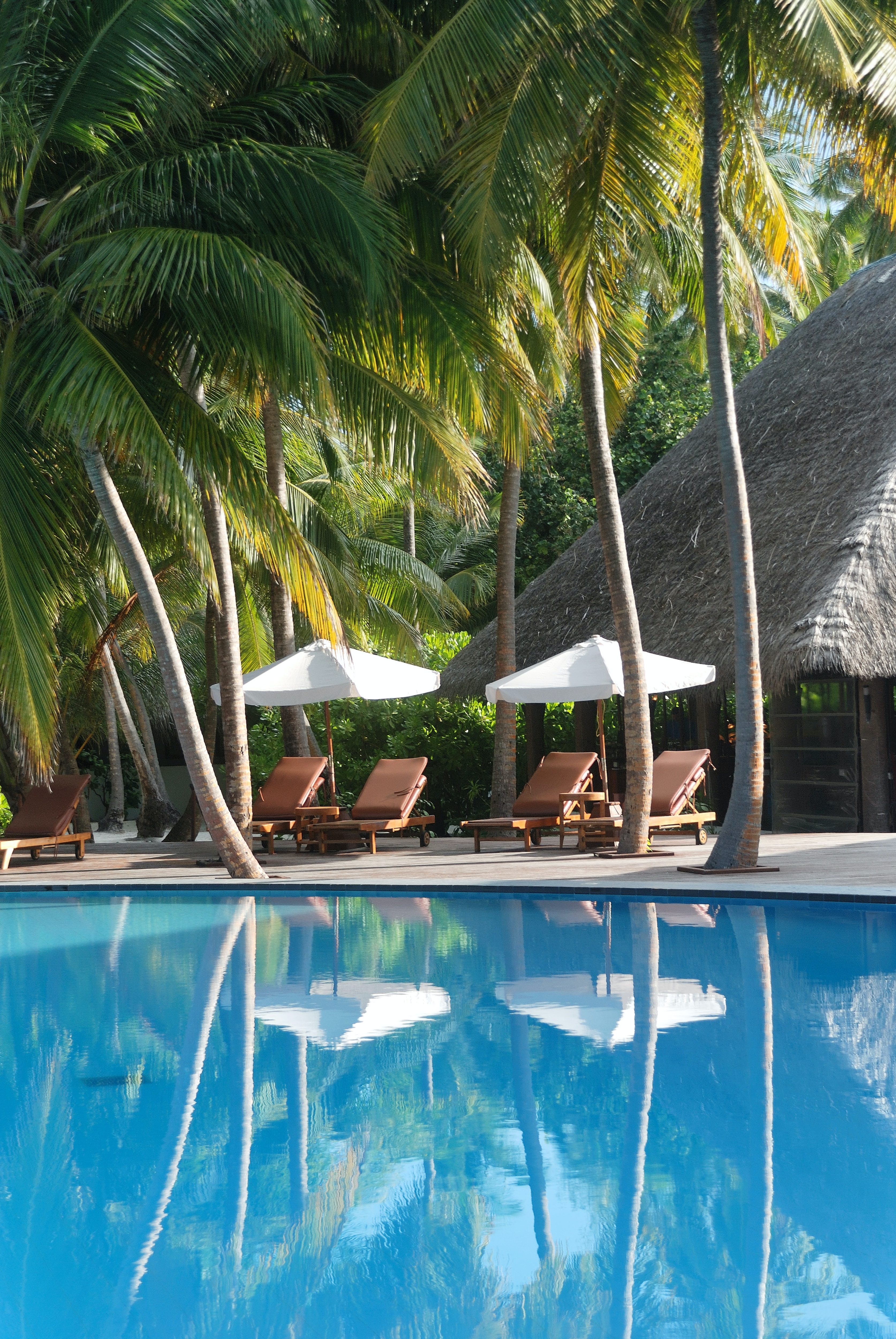 Maldives Escape: Tropical Bliss — photo 5