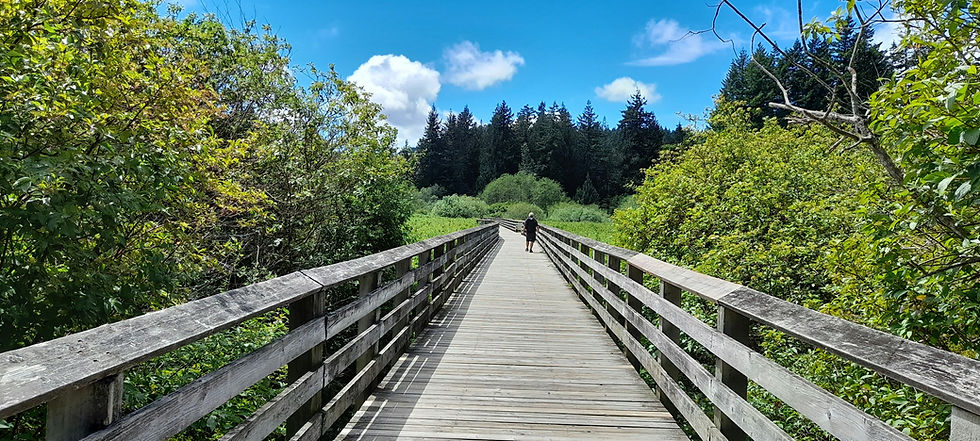 Boardwalk around Langford Lake