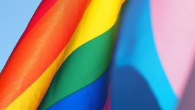 LGBTQIA Awareness Flag
