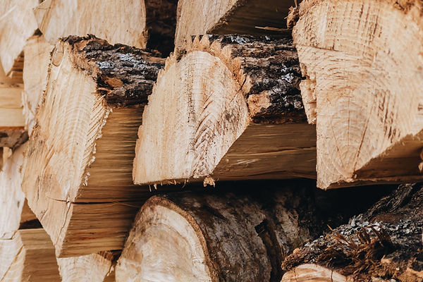 Holz