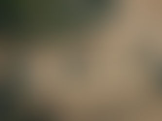 সিন্ধু সভ্যতাৰ বিলুপ্তি কেনেকৈ হ'ল ?