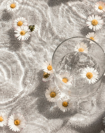 Image by Camille Brodard