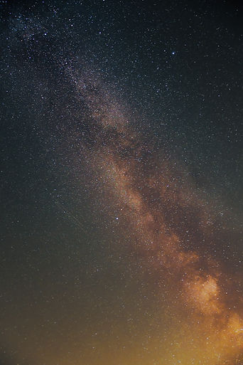 Image by Niklas Bischop