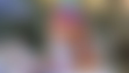 a dog on his birthday