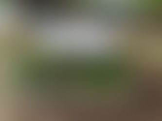 Stratford-on-Avon and Warwick Councils First Step Towards a Joint ‘South Warwickshire’ Local Plan 