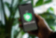 Image by Privecstasy