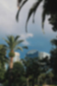 Image by Alicia Morency