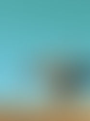 Why Nutrition is Important for Dancers