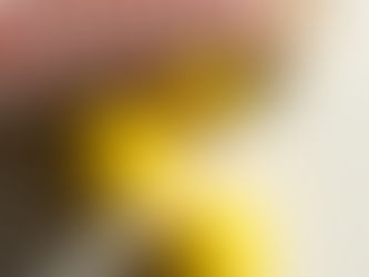 Citrus-Inspired Recipes from Citrus Tree House