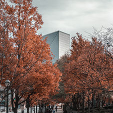 Image by Zongnan Bao