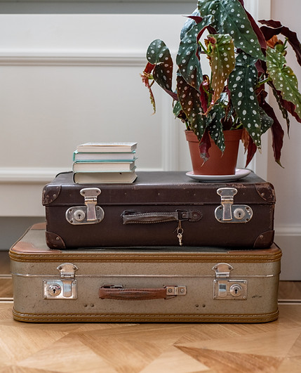 stacked suitcases next to houseplant