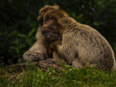 😇 Nous sommes tous des êtres sensibles 