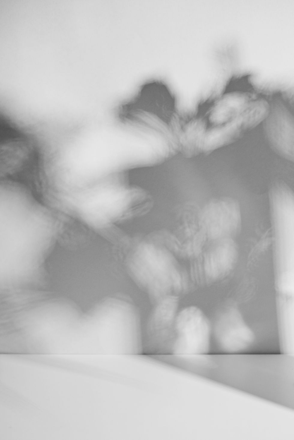 Image by Iulia Circei