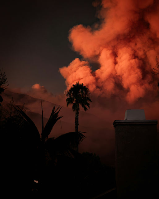 Standing Together: Supporting Pets & Their Families During the Los Angeles California Palisades Wildfire