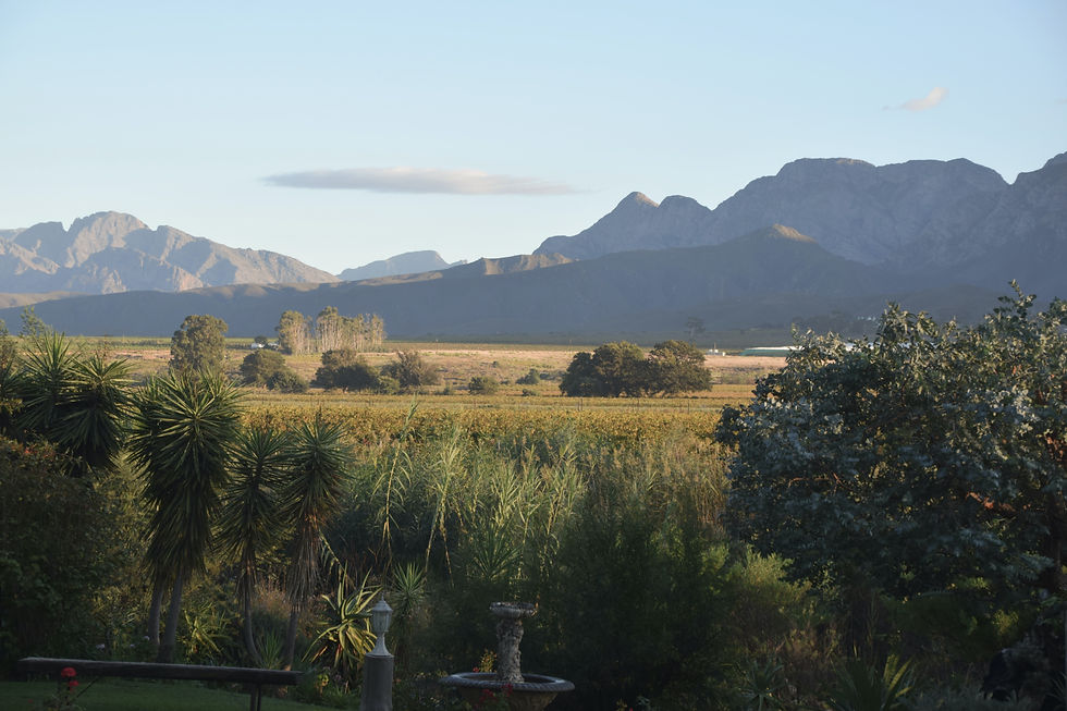 Submit a Guest Post in Illinois