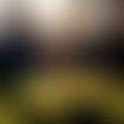 Alice in Wonderland Medicine: The truth behind evidence based medicine