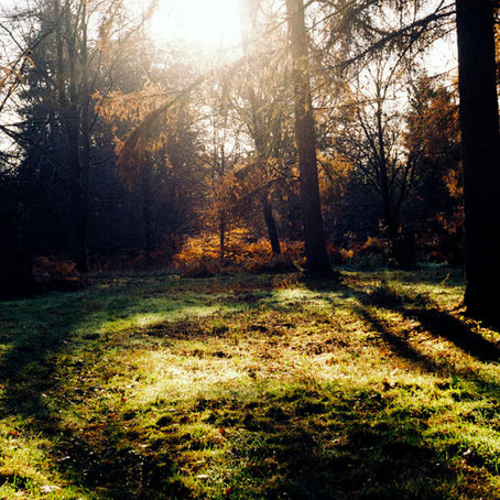 Alice in Wonderland Medicine: The truth behind evidence based medicine