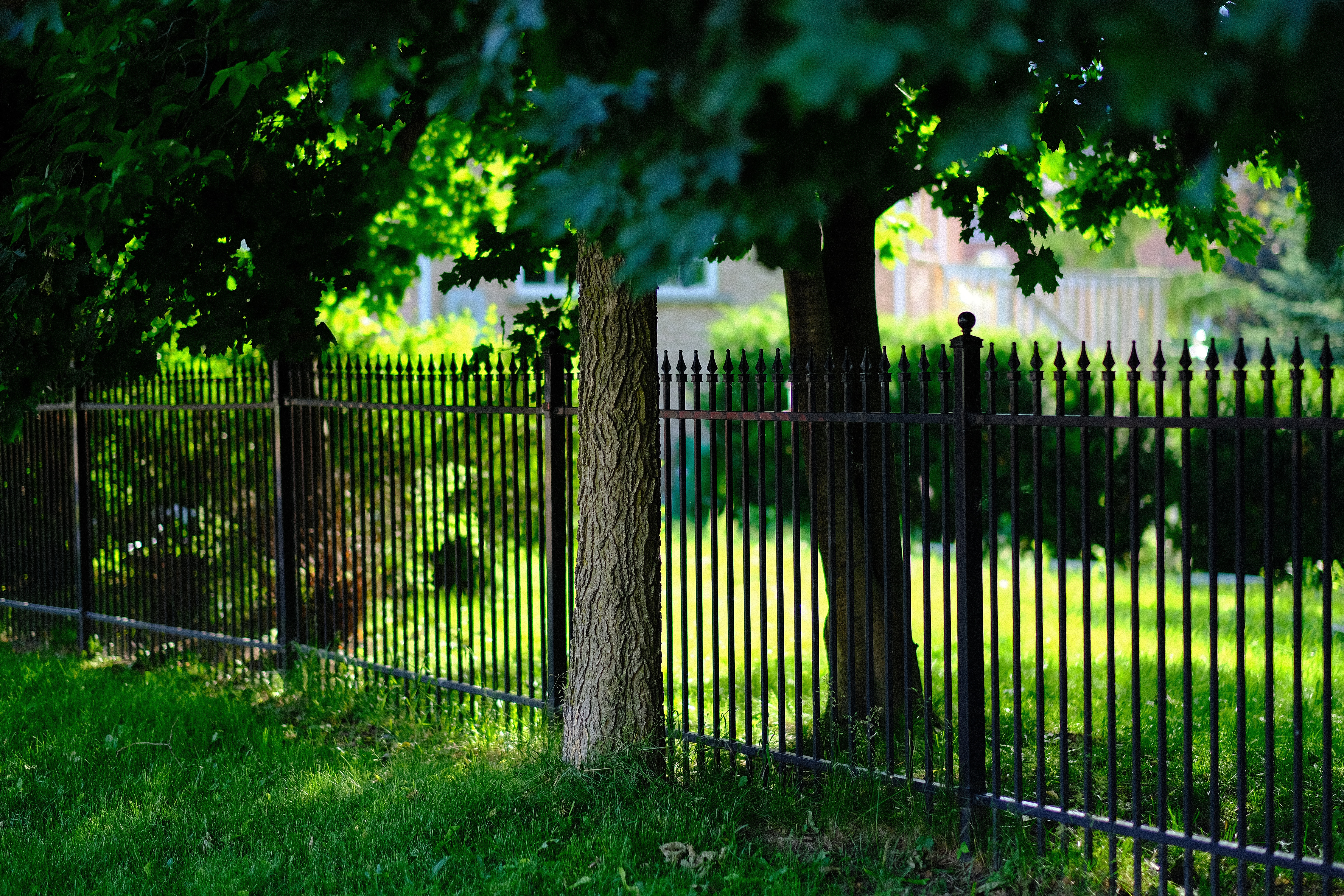 Custom Aluminum Fence Builds