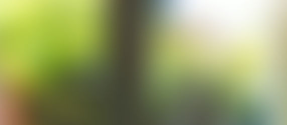 Öykü- Nilay Erik- Çok Şükür Halime