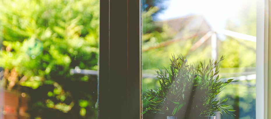 Öykü- Nilay Erik- Çok Şükür Halime