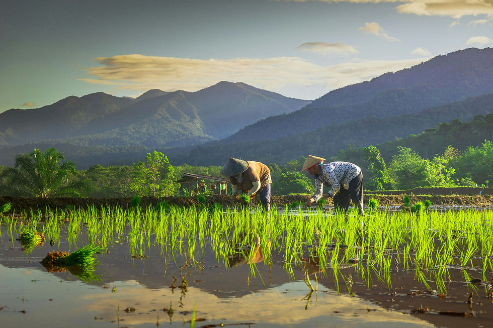 Agritech: Harapan untuk Memuliakan Kembali Profesi Petani