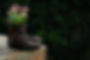 A pair of worn combat boots filled with blooming pink flowers, symbolizing growth through life’s difficult journeys.