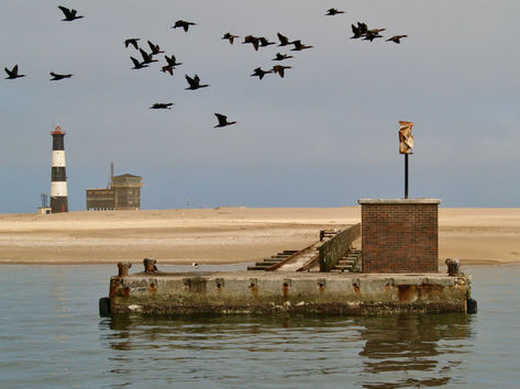 Discover the Maritime History and Wildlife Wonders of Pelican Point
