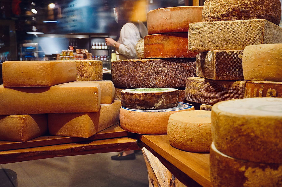 From Accidental Discovery to Culinary Delight: The Fascinating Origins of Cheese