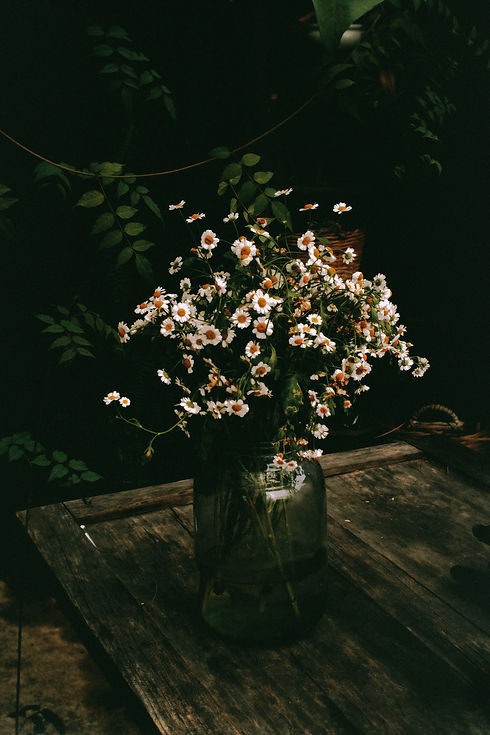 Image by HÃ Nguyá»…n