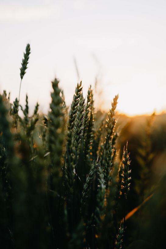 Image by Kristaps Ungurs