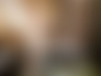 Impuestos de una LLC para no residentes en los Estados Unidos 