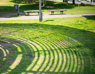 Image by Kouji Tsuru