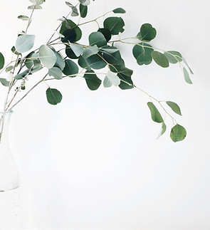 Image by Jazmin Quaynor