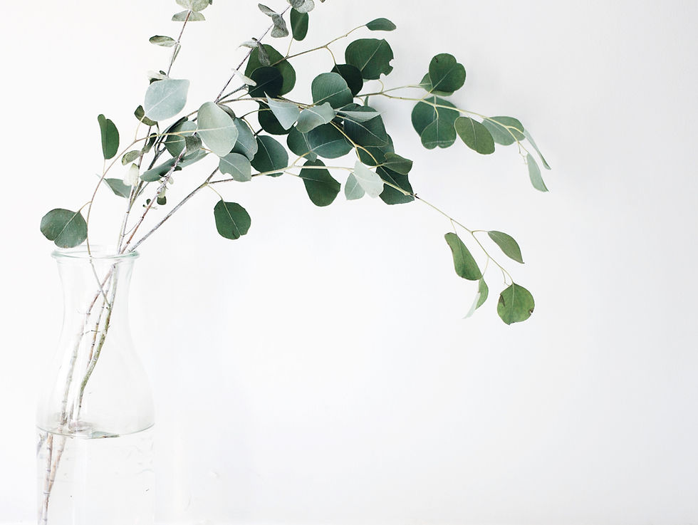 Image by Jazmin Quaynor