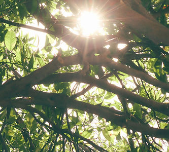 Image by Chloe