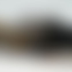 Two Women and a Cannabis Store