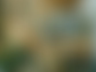 Case Study House #21: Pierre Koenig’s Timeless Vision in Steel and Glass