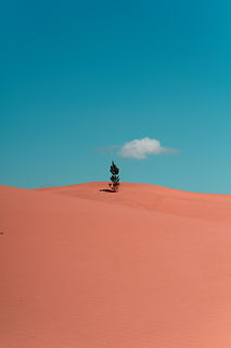 Image by Howen