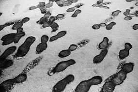 Image by Jason Leung